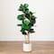 4ft. Fiddle Leaf Tree in Decorative White Planter